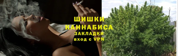 мескалин Покачи