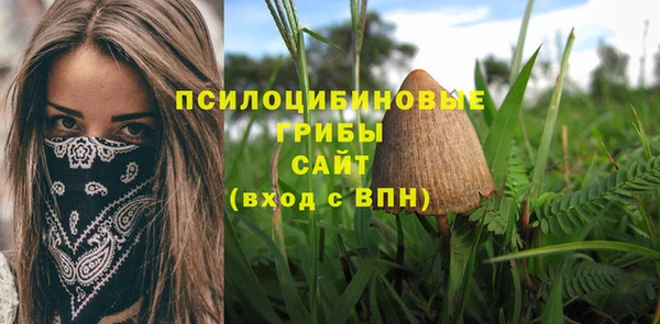 мет Приозерск