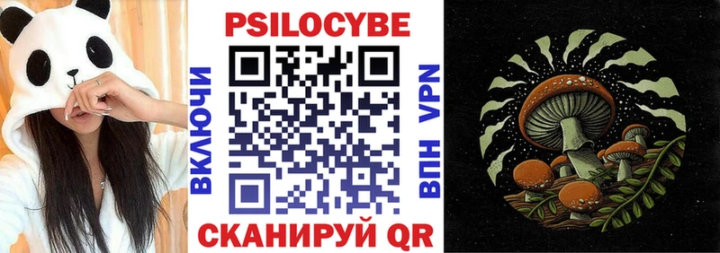 Псилоцибиновые грибы ЛСД  купить наркотики цена  кракен зеркало  Чишмы 