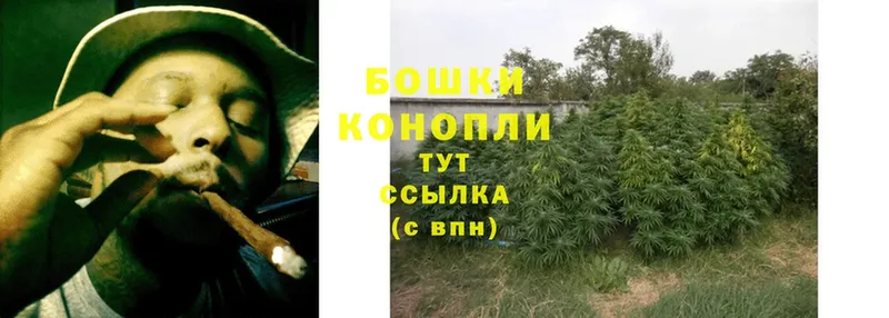 Бошки марихуана Bruce Banner  Чишмы 